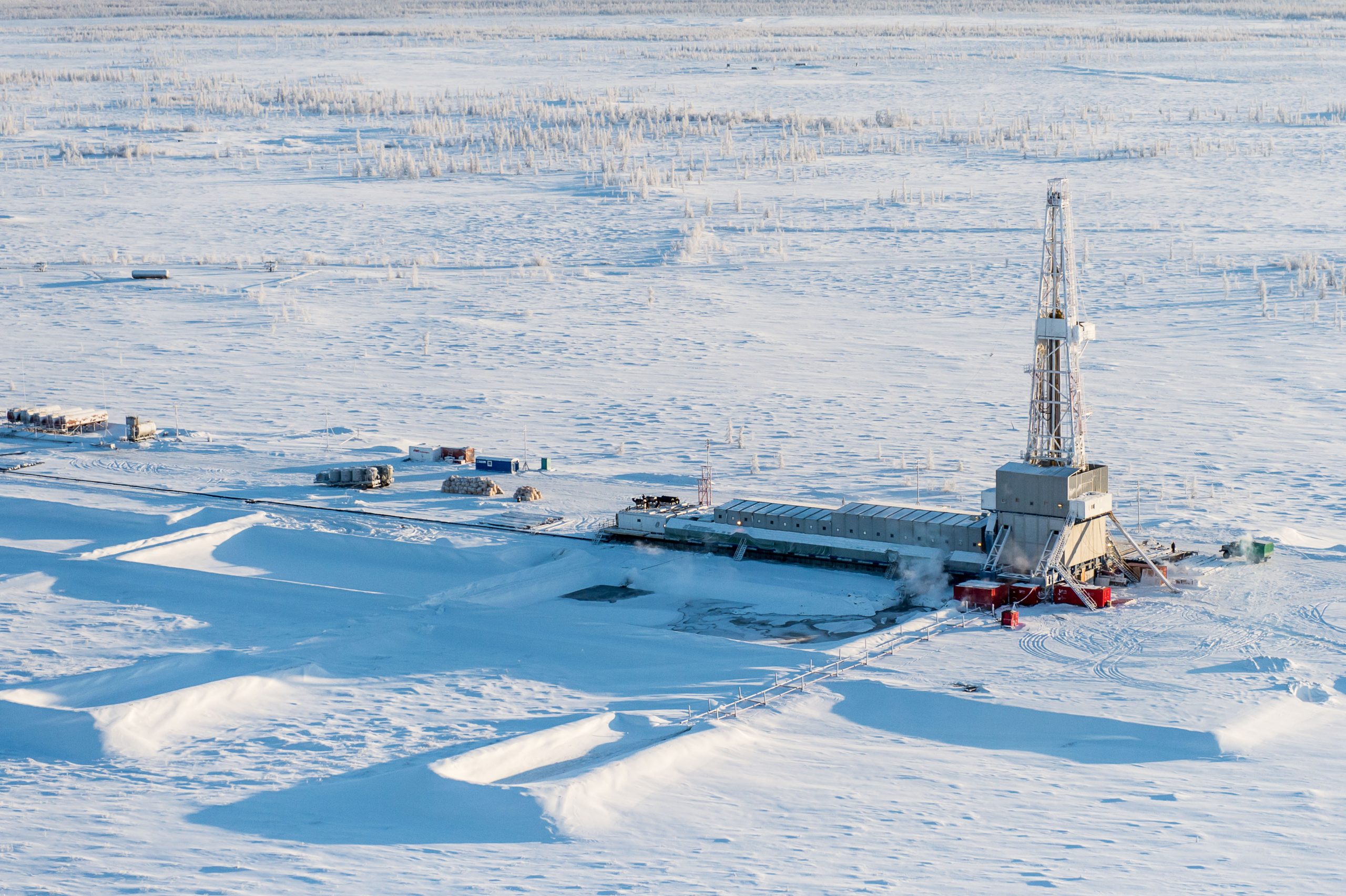 The Scoop on Arctic Drilling Tiger General