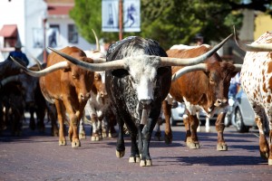 Texas-Is-A-Leader-In-Domestic-Oil